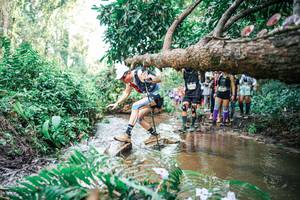 BIB: 
                            <button type="button" onclick="openModal(25514833)" class="btn btn-primary btn-sm float-right btn-popup" data-toggle="modal" data-target=".modal-high-quality">
                        <i class="fas fa-shopping-cart"></i> Add to Cart
                    </button>
                                            <button type="button" onclick="isThisMe(25514833, true)" class="btn btn-success btn-sm float-right btn-popup btn-isme hidden" data-toggle="tooltip" data-placement="bottom" title="นี่คือรูปของคุณใช่ไหม คลิกที่นี่เพื่อเอาเข้าอัลบั้ม">
                        <i class="fas fa-plus"></i> Add to album
                    </button>
                    <button type="button" onclick="isThisMe(25514833, false)" class="btn btn-warning btn-sm float-right btn-popup btn-isnotme hidden">
                        <i class="fas fa-ban"></i> Remove from album
                    </button>